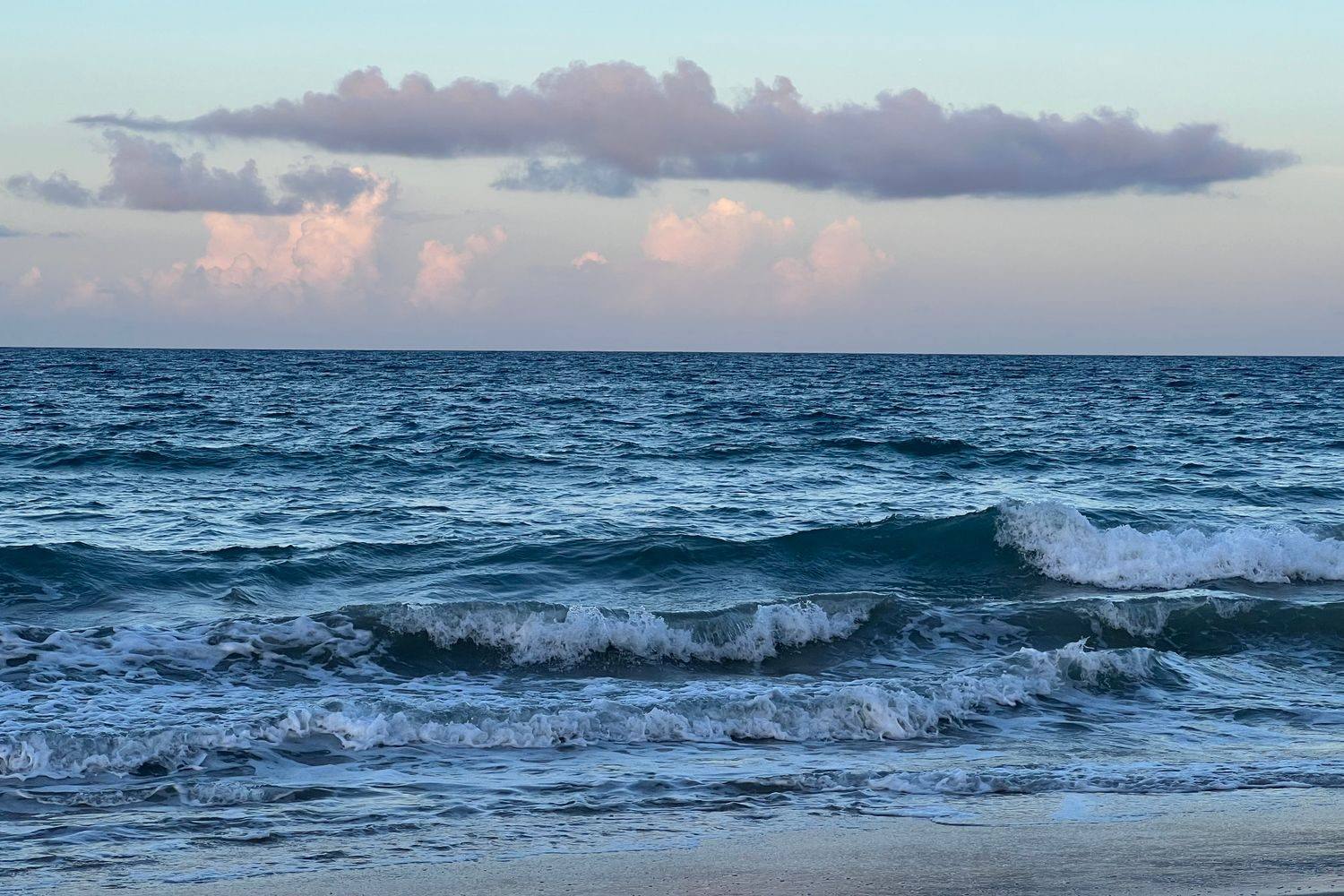 Gulf coast shoreline at first light, calm water under a soft blue sky