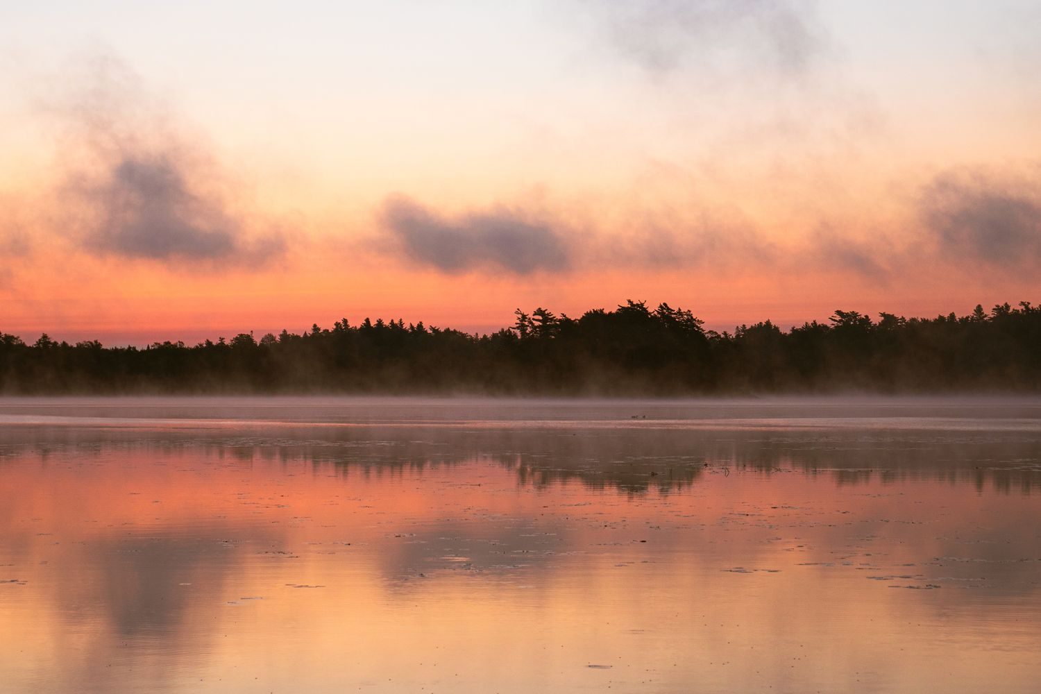 Warm sunrise over still water with mist rising along a distant treeline