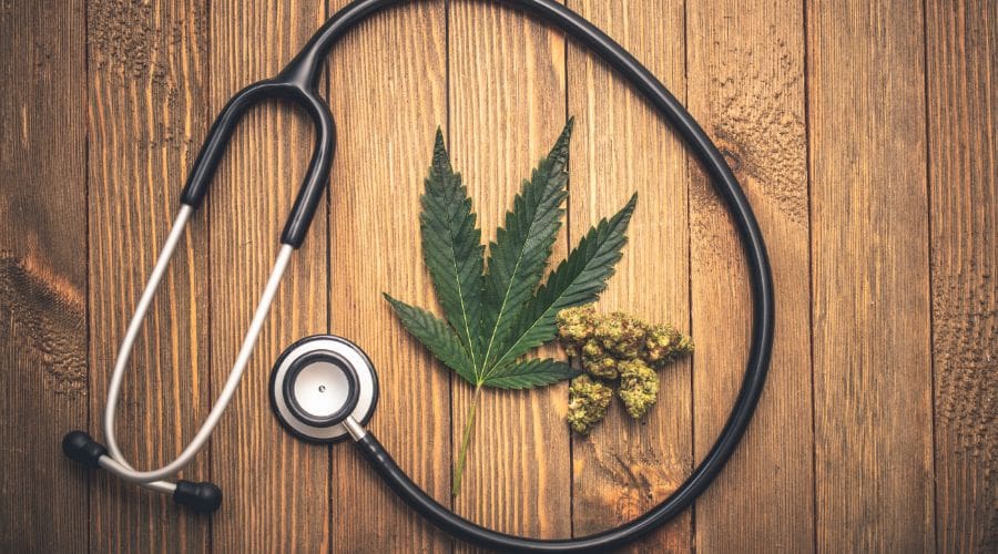 Stethoscope and cannabis leaf - physician-led Florida medical marijuana evaluations and certifications at Ascend Mind and Body in Tampa and Wesley Chapel